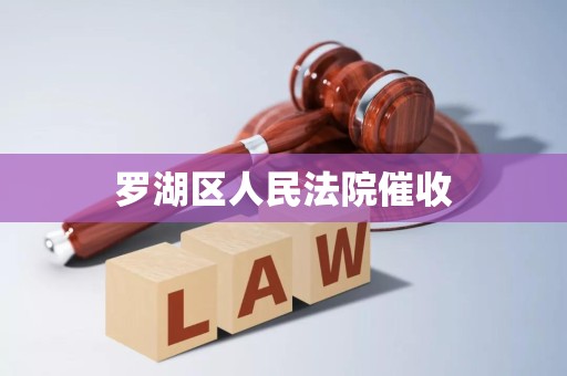 罗湖区人民法院催收