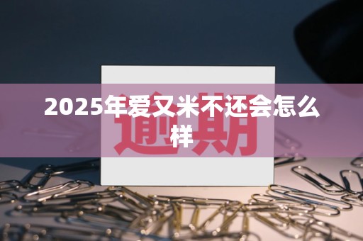 2025年爱又米不还会怎么样