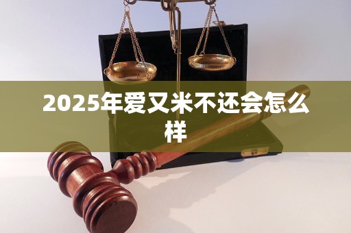 2025年爱又米不还会怎么样