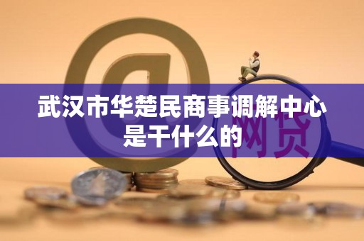 武汉市华楚民商事调解中心是干什么的