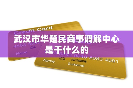 武汉市华楚民商事调解中心是干什么的