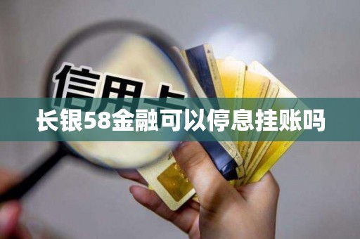 长银58金融可以停息挂账吗 长银58金融可以停息挂账吗