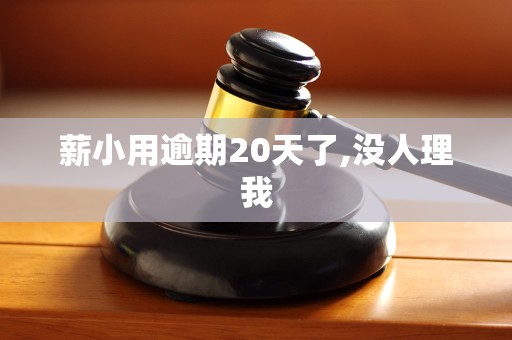 薪小用逾期20天了,没人理我