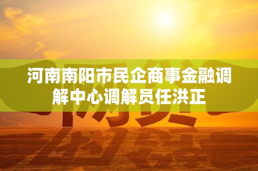 河南南阳市民企商事金融调解中心调解员任洪正