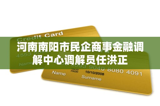 河南南阳市民企商事金融调解中心调解员任洪正