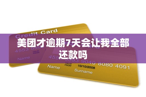 美团才逾期7天会让我全部还款吗