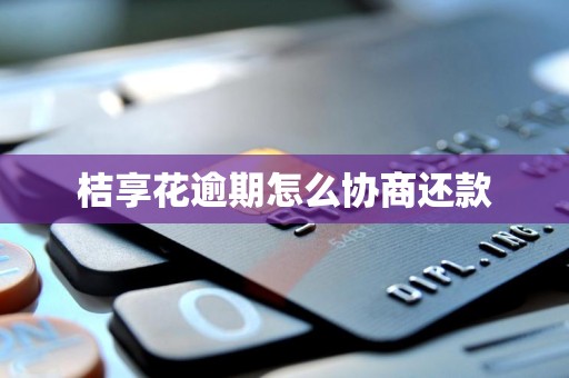 桔享花逾期怎么协商还款 桔享花逾期怎么协商还款