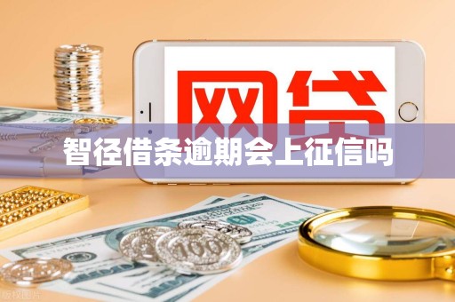 智径借条逾期会上征信吗