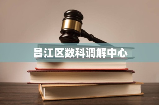 昌江区数科调解中心
