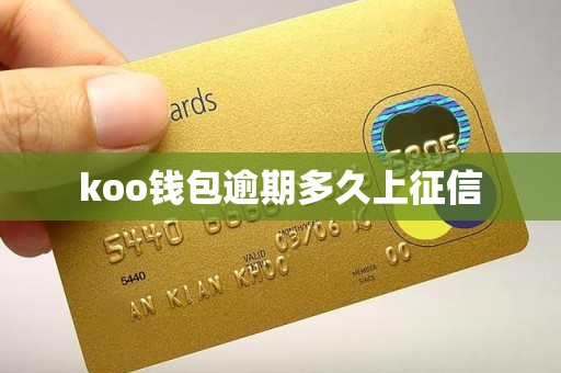 koo钱包逾期多久上征信 koo钱包逾期多久上征信