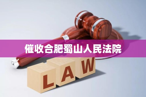 催收合肥蜀山人民法院