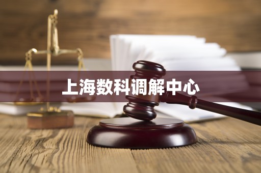 上海数科调解中心 上海数科调解中心