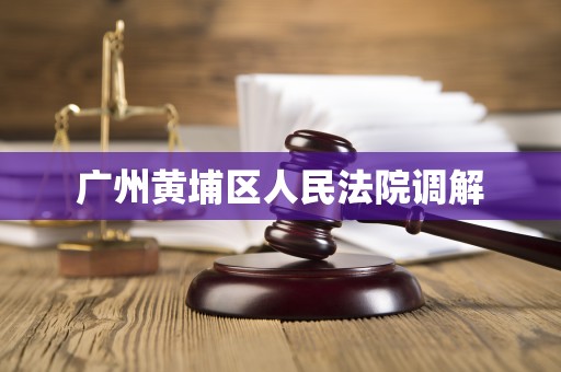 广州黄埔区人民法院调解 广州黄埔区人民法院调解