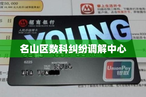 名山区数科纠纷调解中心 名山区数科纠纷调解中心
