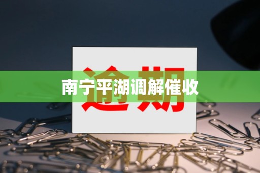 南宁平湖调解催收 南宁平湖调解催收