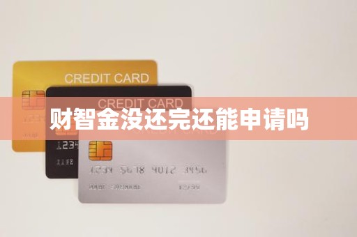 财智金没还完还能申请吗