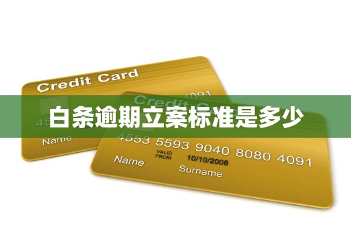 白条逾期立案标准是多少 白条逾期立案标准是多少