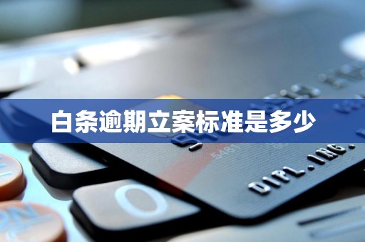 白条逾期立案标准是多少 白条逾期立案标准是多少