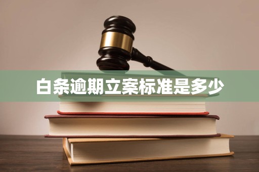 白条逾期立案标准是多少 白条逾期立案标准是多少