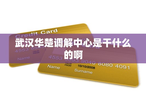 武汉华楚调解中心是干什么的啊