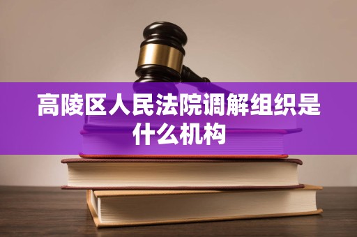 高陵区人民法院调解组织是什么机构