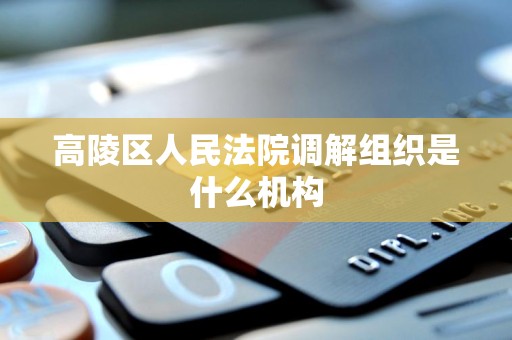 高陵区人民法院调解组织是什么机构