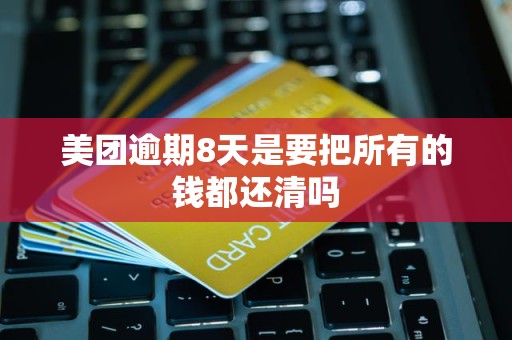 美团逾期8天是要把所有的钱都还清吗