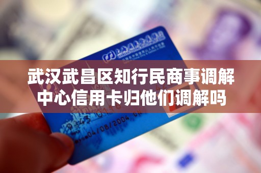 武汉武昌区知行民商事调解中心信用卡归他们调解吗