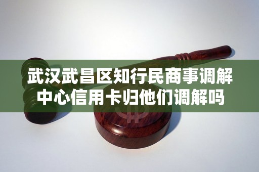 武汉武昌区知行民商事调解中心信用卡归他们调解吗