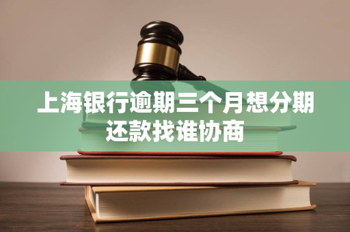 上海银行逾期三个月想分期还款找谁协商