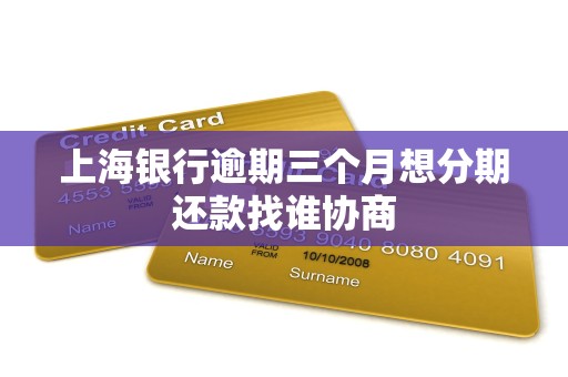 上海银行逾期三个月想分期还款找谁协商