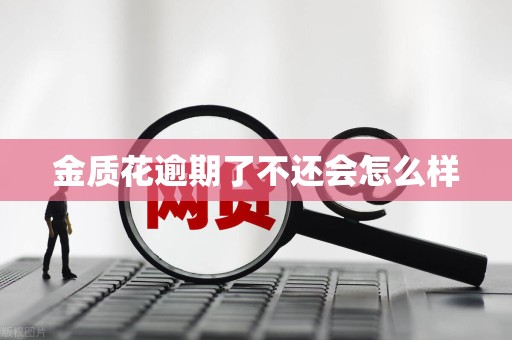 金质花逾期了不还会怎么样