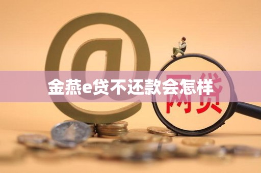 金燕e贷不还款会怎样