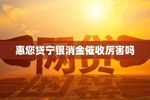 惠您贷宁银消金催收厉害吗
