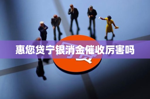惠您贷宁银消金催收厉害吗