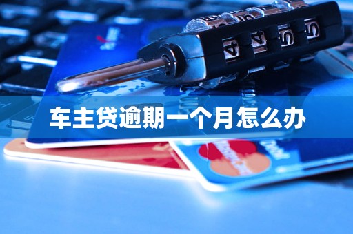 车主贷逾期一个月怎么办