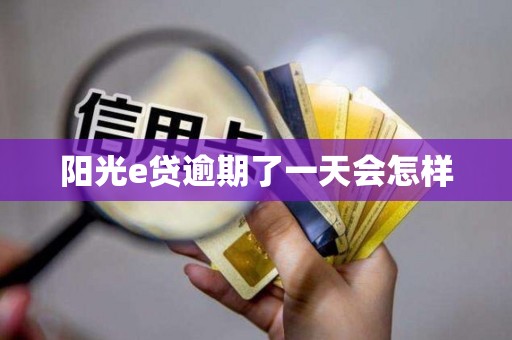 阳光e贷逾期了一天会怎样