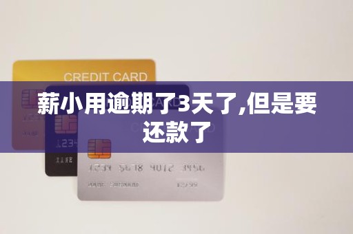 薪小用逾期了3天了,但是要还款了