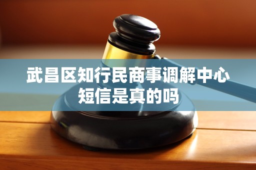武昌区知行民商事调解中心短信是真的吗
