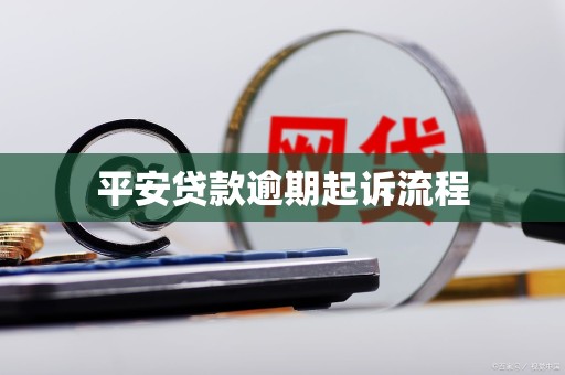 平安贷款逾期起诉流程