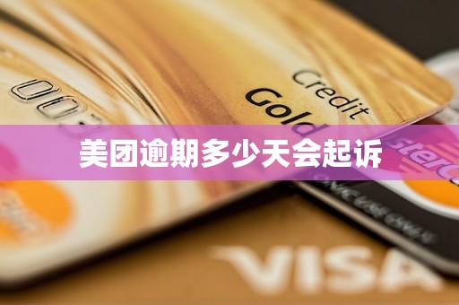 美团逾期多少天会起诉