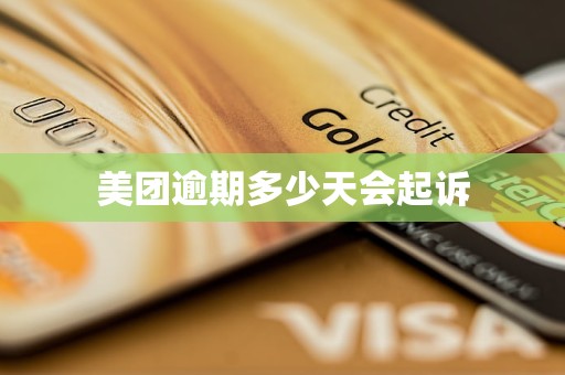 美团逾期多少天会起诉