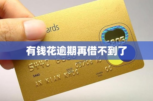 有钱花逾期再借不到了