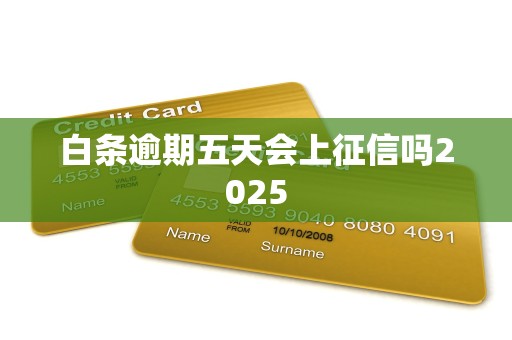 白条逾期五天会上征信吗2025