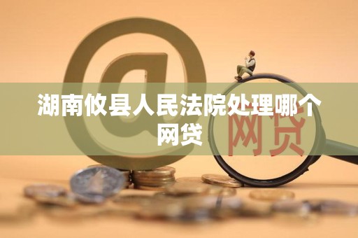 湖南攸县人民法院处理哪个网贷