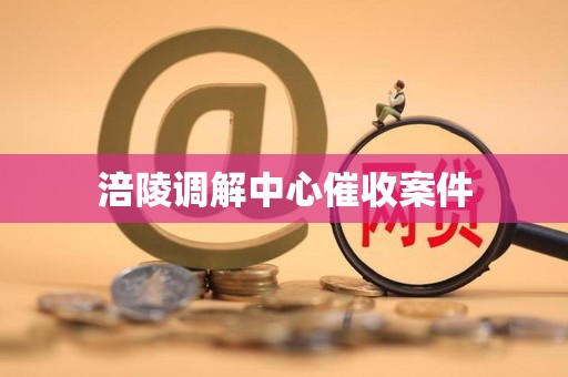 涪陵调解中心催收案件