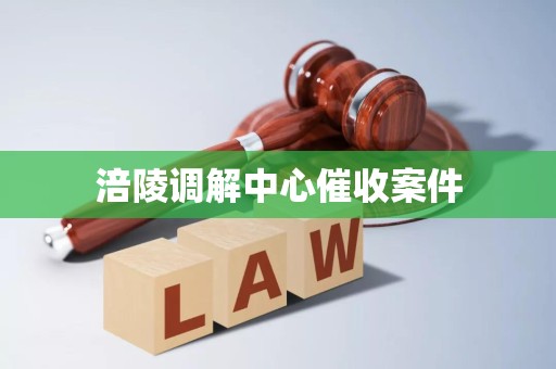 涪陵调解中心催收案件