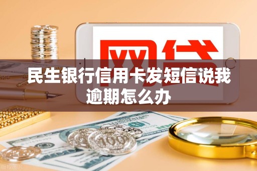 民生银行信用卡发短信说我逾期怎么办