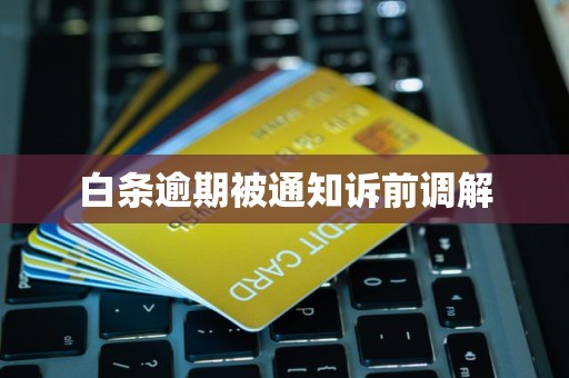 白条逾期被通知诉前调解