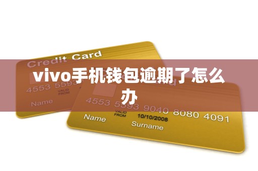 vivo手机钱包逾期了怎么办 vivo手机钱包逾期了怎么办